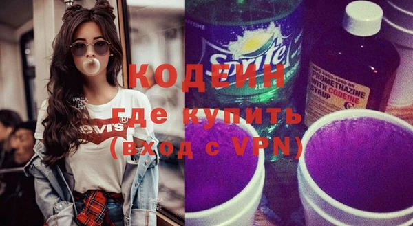 гашик Сосновка