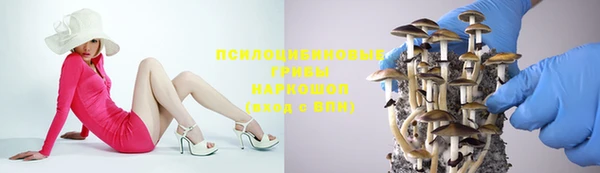 гашик Сосновка