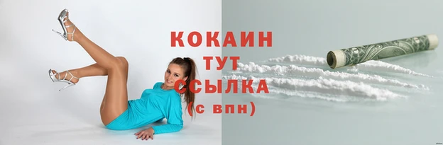 герыч Сосновый Бор