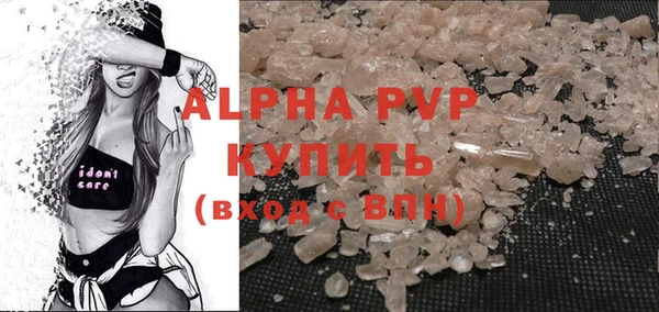 гашик Сосновка