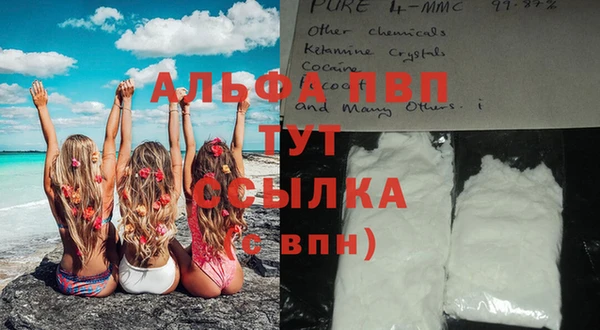 амф Сосновоборск