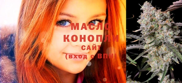 гашик Сосновка
