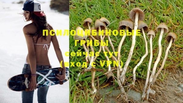 герыч Сосновый Бор