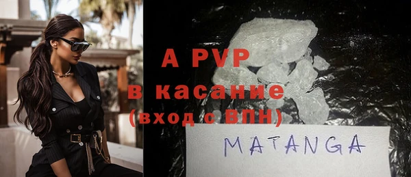 гашик Сосновка