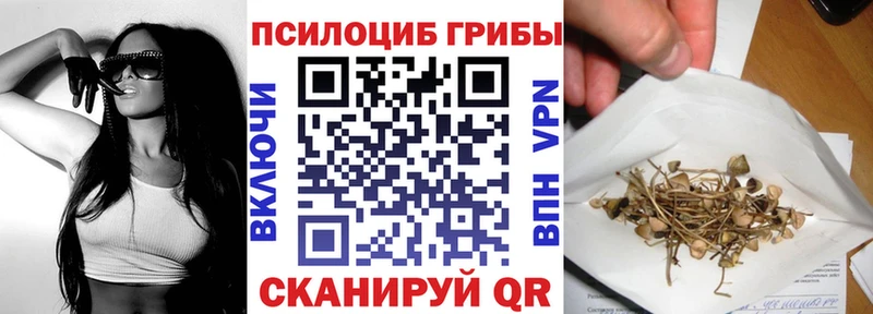 Купить Купино Галлюциногенные грибы MAGIC MUSHROOMS